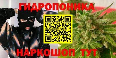 твердый Бийск