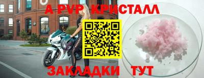 твердый Бийск