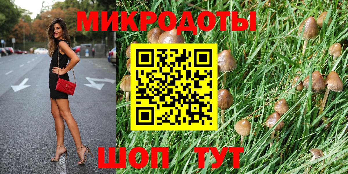 Избербаш  Псилоцибиновые грибы мухоморы  купить наркоту  Вход с VPN 